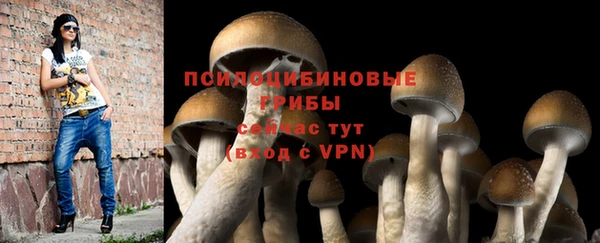 а пвп мука Алексин