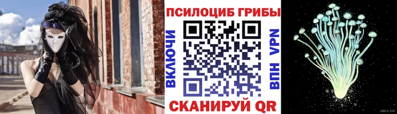 Галлюциногенные грибы Psilocybe Калтан