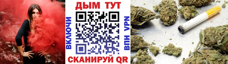 Бошки марихуана план  купить  сайты  Калтан 